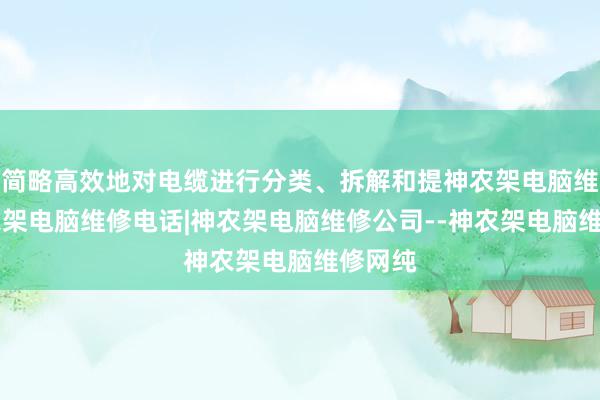 简略高效地对电缆进行分类、拆解和提神农架电脑维修|神农架电脑维修电话|神农架电脑维修公司--神农架电脑维修网纯