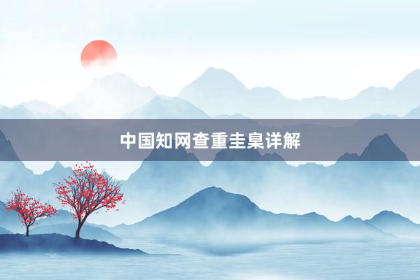 中国知网查重圭臬详解