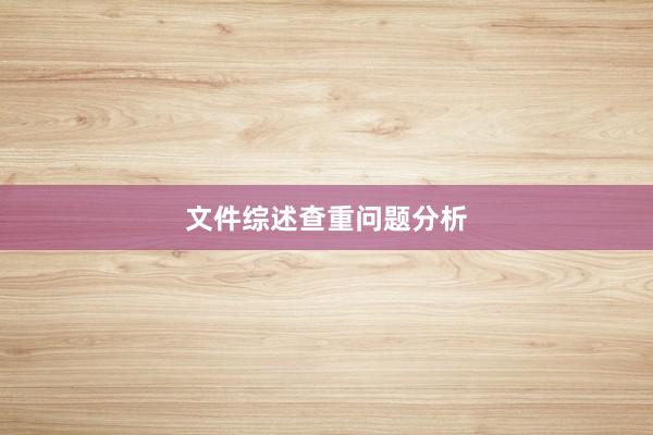 文件综述查重问题分析